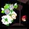 Angry Birds - Shot